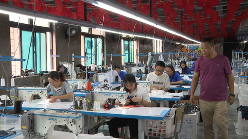 云南云縣 服裝廠開在家門口，掙錢不再往外走——技術轉讓與咨詢的致富新路